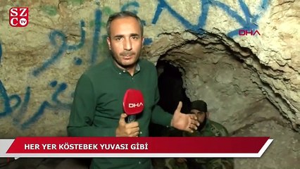 Her yer köstebek yuvası gibi!
