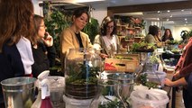 Atelier de terrariums à la boutique Succulente