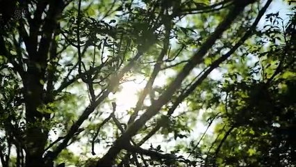 Police Interceptors S17E03