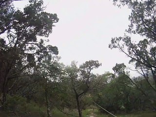 First and Last Zip-Lining Adventure