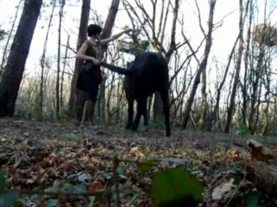 Nos débuts en éthologie...+1mois.