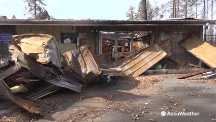 Looking at the burns a year later