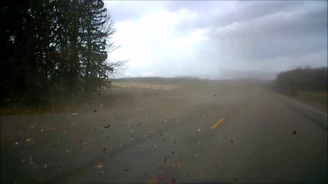 MCH 236 TREES SWAYING IN 150 KMH WINDS HURRICIAN WINDS. RED DEER COUNTY ALBERTA CANADA.