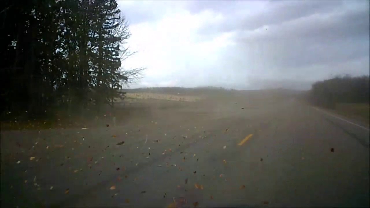 MCH 236 TREES SWAYING IN 150 KMH WINDS HURRICIAN WINDS. RED DEER COUNTY ALBERTA CANADA.
