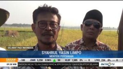 SYL Dorong Temuan Varietas Padi Baru
