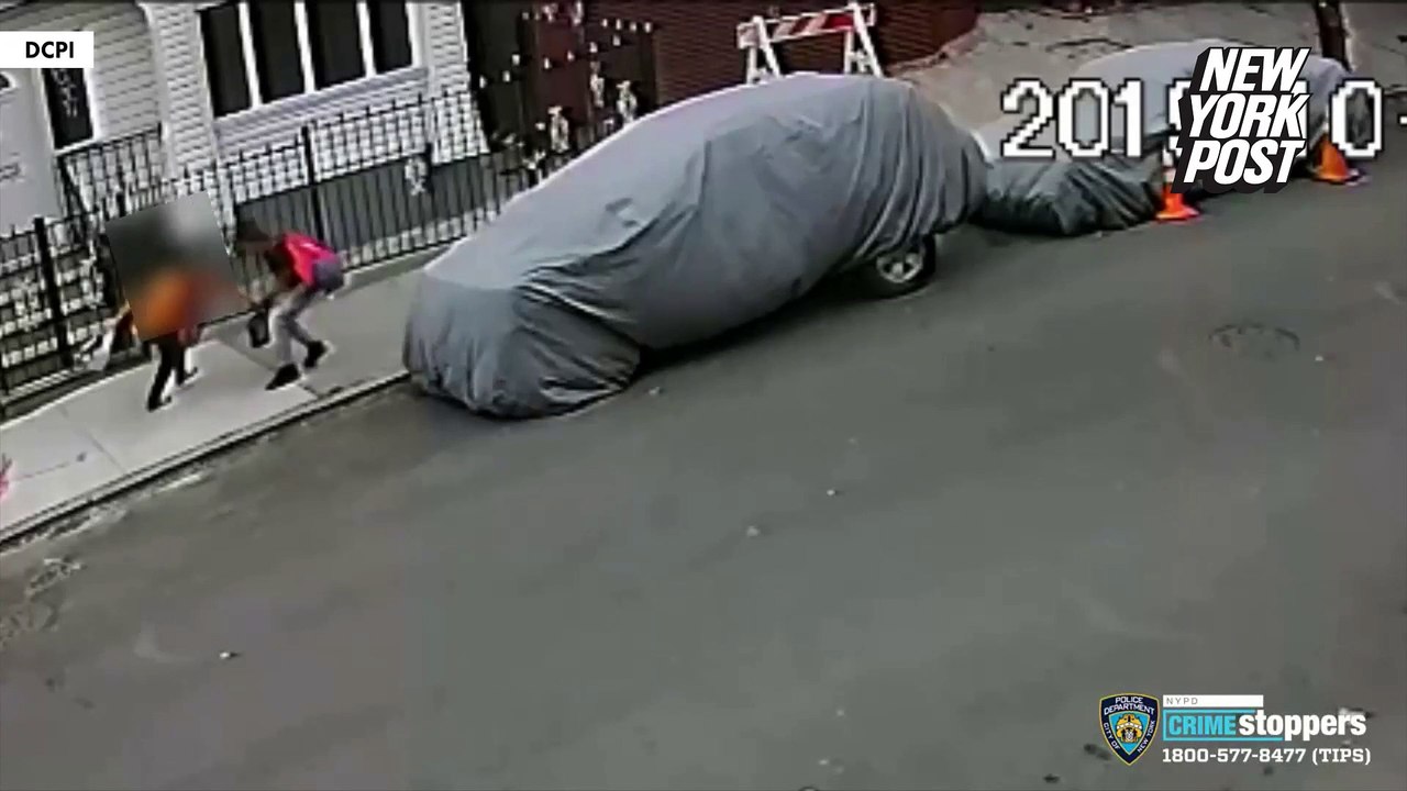 Une femme se bat contre le voleur qui a tenté de lui arracher son téléphone