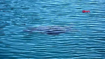 Antalya'da yazdan kalma günler devam ediyor