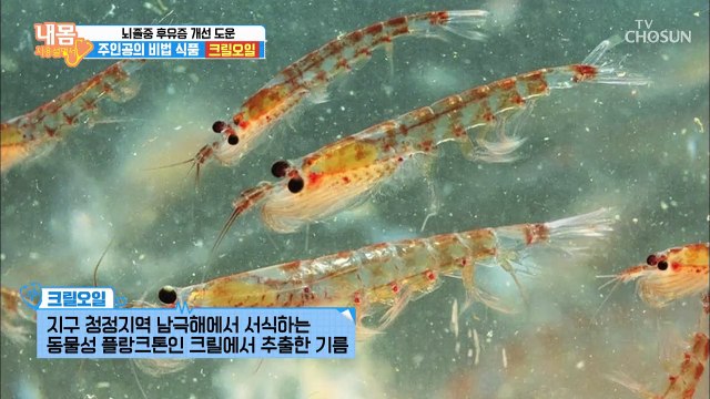 뇌졸중 후유증 개선 도운 비법 식품 ‘크릴오일’