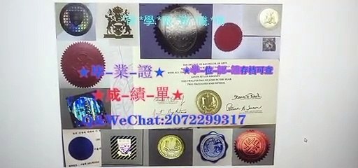 Germany埃尔朗根-纽伦堡大学毕业证↘Q /微2072299317 专业办理deutschland德国埃尔朗根-纽伦堡大学高仿毕业证/修改成绩单GPA分数/文凭/留信网/大使馆/留学生服务中心认证Universitat Erlangen-Nürnberg