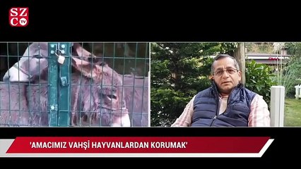Sapanca'da hayvanların kafeste tutulduğu iddiası