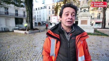 VIDEO. Poitiers : la ville teste les arbres du square de la République