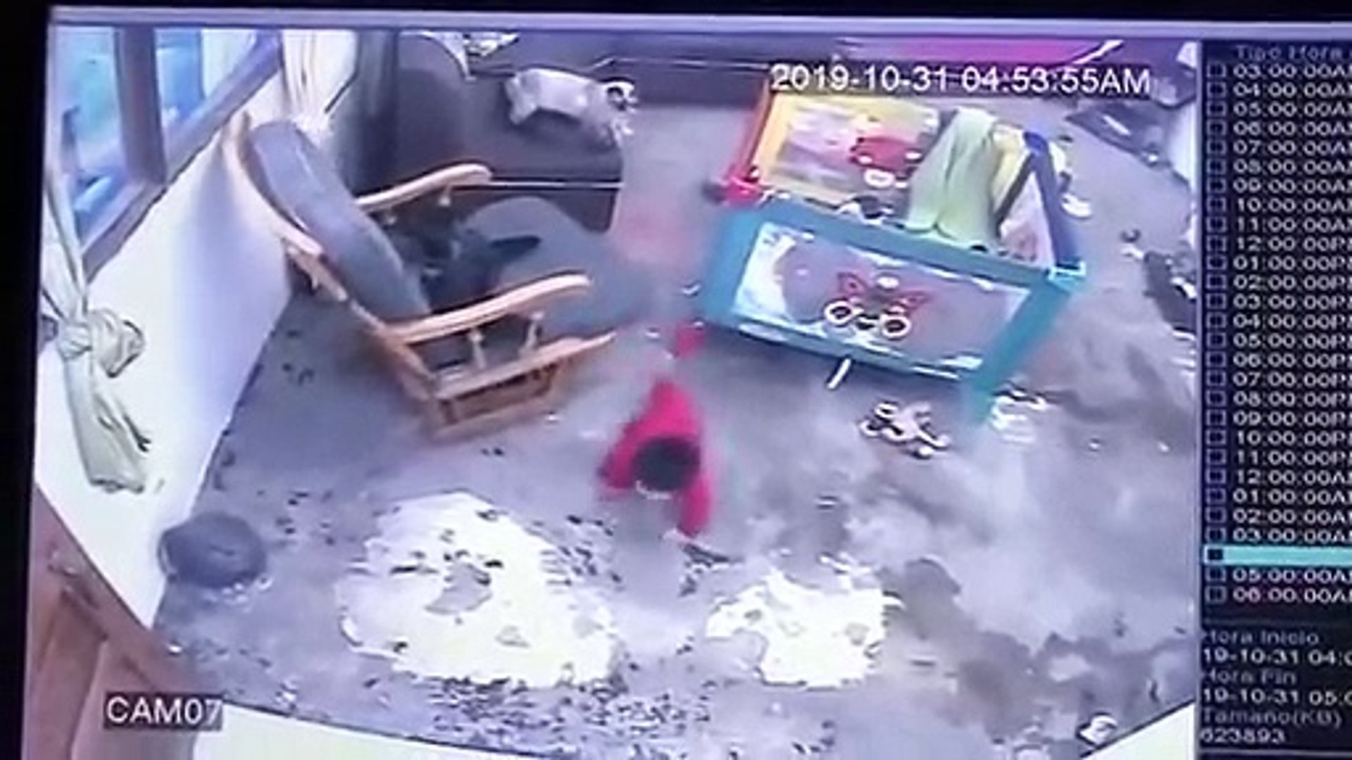 Un Chaton Sauve Un Bebe Qui Allait Tomber De L Escalier Video Dailymotion