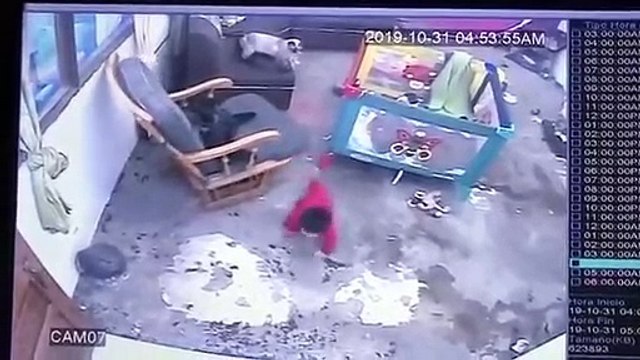 Un chaton sauve un bébé qui allait tomber de l'escalier