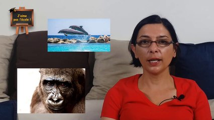 Métacognition  Définition