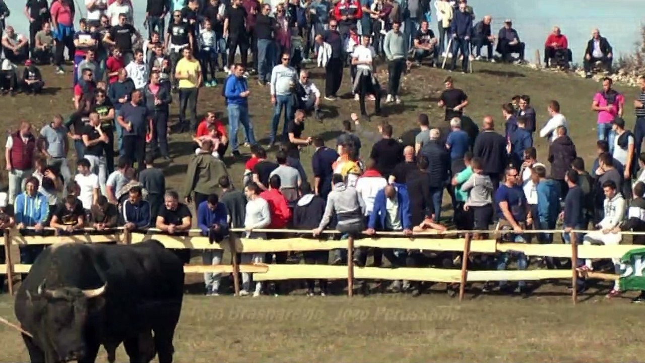 MACAN RUNDO POSUSJE 2019