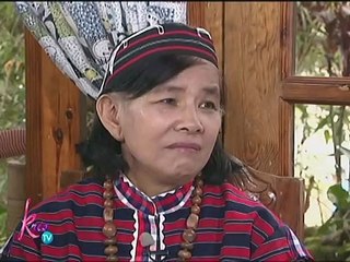 Why Kris should eat black rice