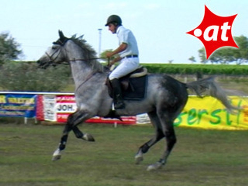 Peredi Szabolcs, Springreiten, Burgenland (2007-035)