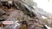 शून्य पर पहुंचा पारा; चूड़धार, कल्पा, कुल्लू-मनाली में बर्फबारी, गिरिपार में बारिश