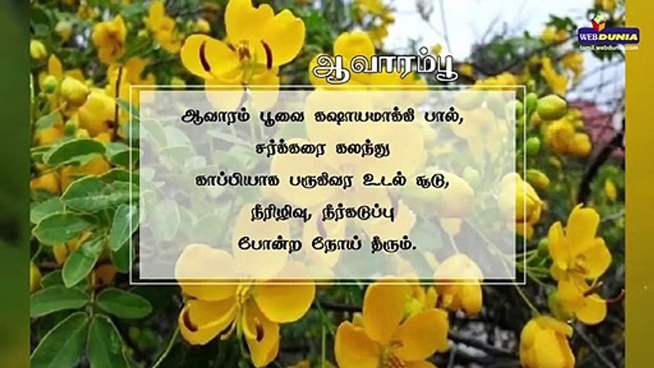 மலர்களுக்குள் மருத்துவ குணம்!