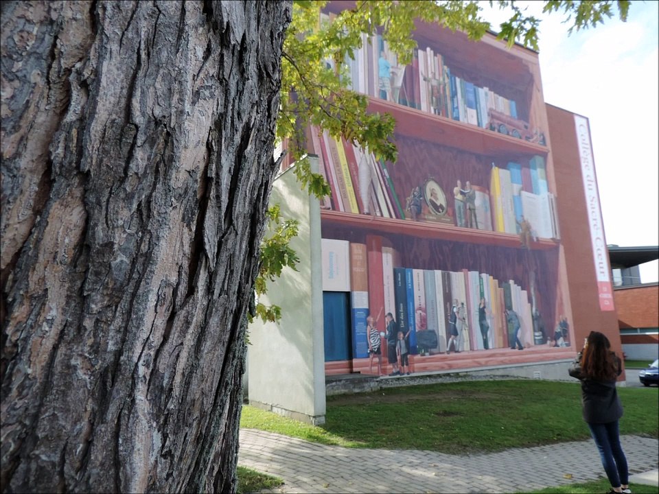 Sherbrooke et ses murales (Québec)