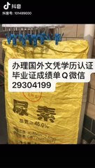 教留服学历认证Q/微29304199〈CSUN毕业证成绩单offer〉留信认证/加州州立大学北岭分校毕业证成绩单offer，雅思成绩单,在读证明,使馆认证(回国人员证明)CaliforniaStateUniversity,Northridge