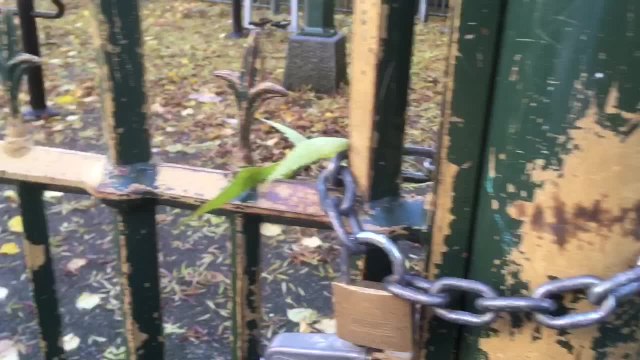 Saint Josse - plaine de jeux pour enfants rue du Moulin / rue de la Limite fermée à cause du mauvais état (Vidéo Germani)