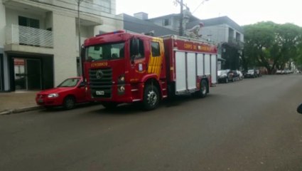 Bombeiros são mobilizados para retirarem gambá de apartamento, em Cascavel