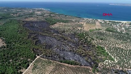 Çanakkale'deki 52 orman yangınında 222 hektar alan kül oldu