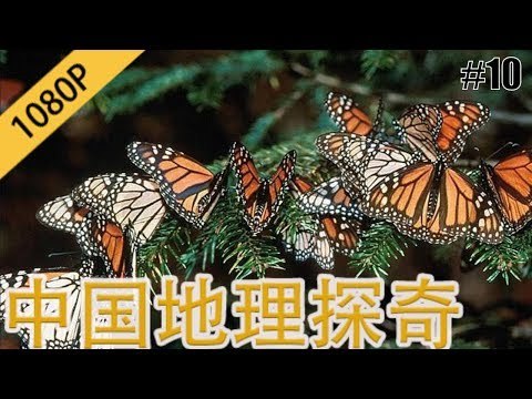 中国地理探奇10 蝴蝶谷的秘密