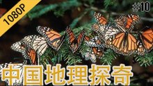 中国地理探奇10 蝴蝶谷的秘密