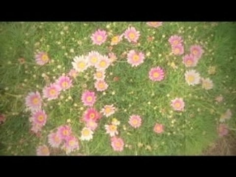 kato kazuki ～靴あと。見上げた空、もっと広くて～