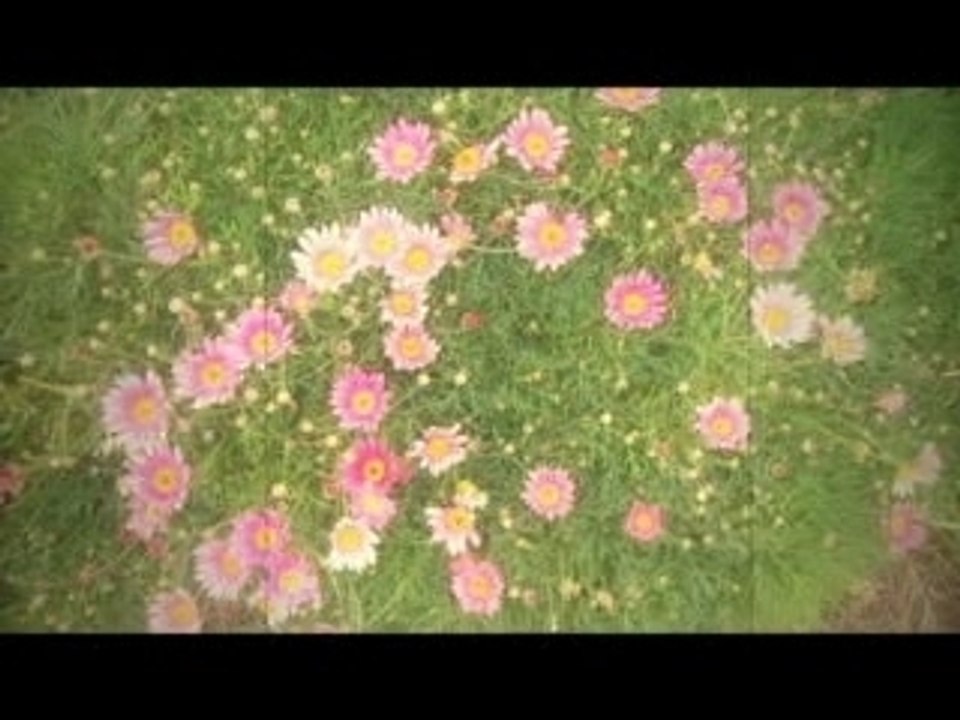 kato kazuki ～靴あと。見上げた空、もっと広くて～