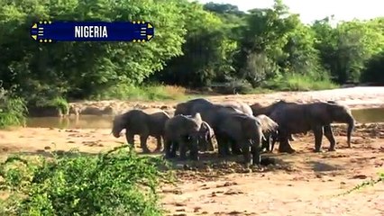 I Love OPM Touristar: Meet Moses Akoh