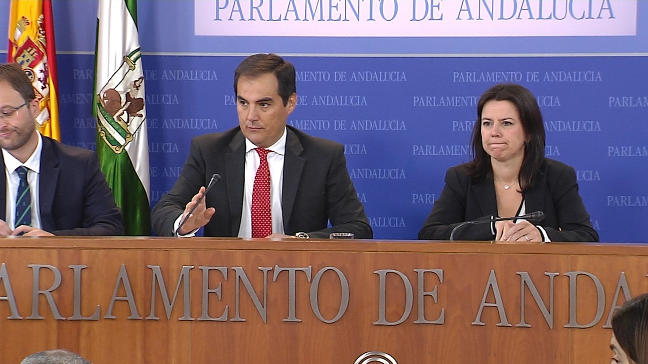 PP-A en rueda de prensa tras la comisión de la Faffe