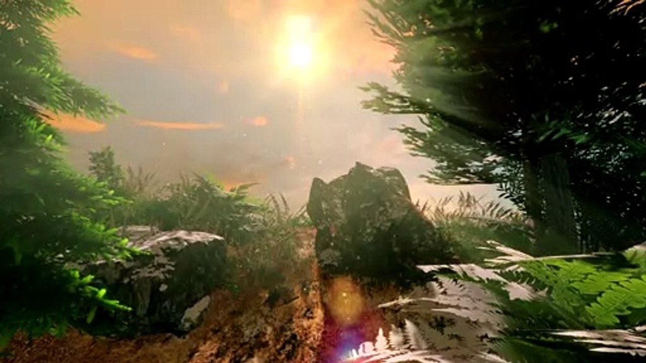 Virtual Forest Tour (Part 1)