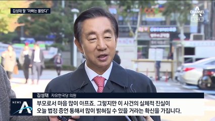 법정에 선 김성태 딸 “아빠는 KT 채용 몰라” 주장