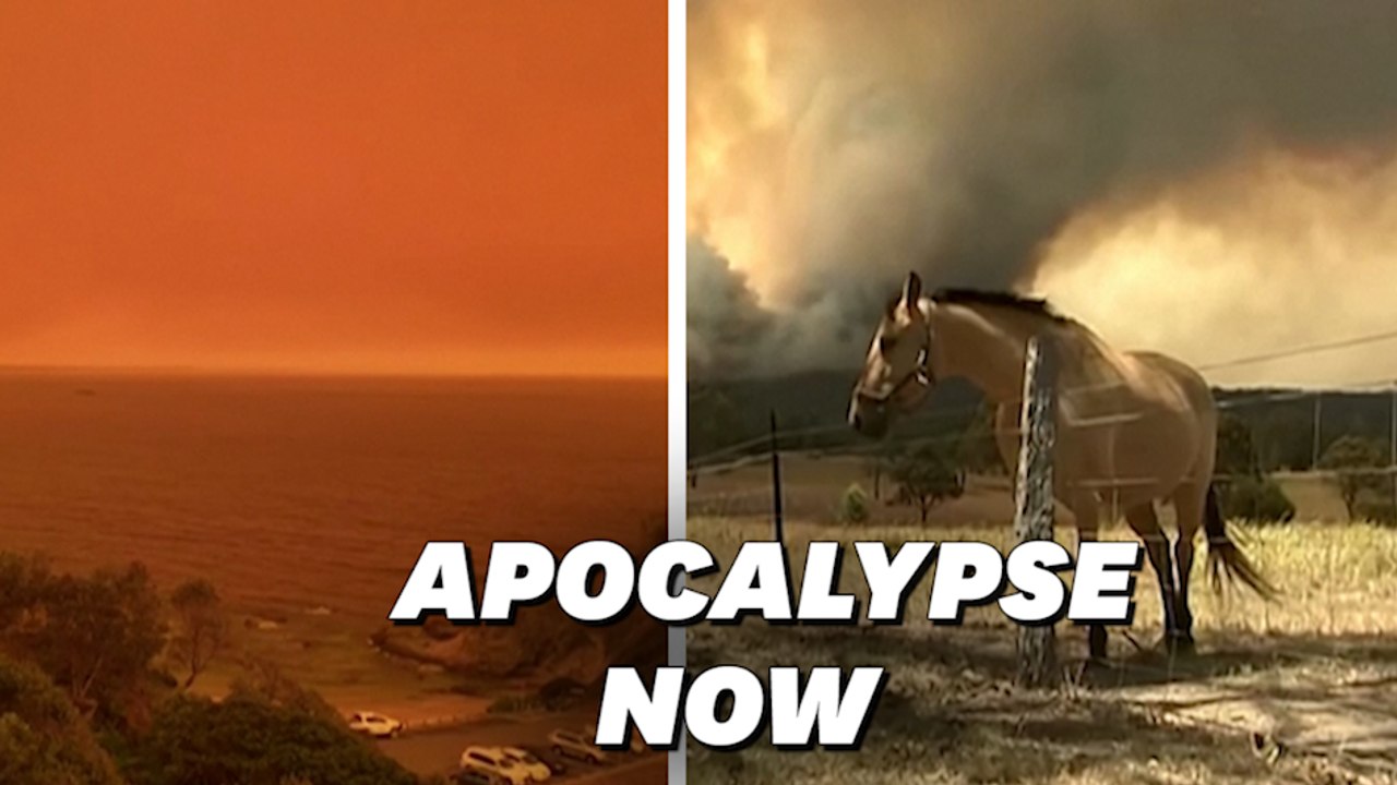 En Australie ravagée par les feux, le ciel et l'océan sont devenus orange