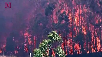 Australia in ‘Uncharted Territory’ Battling Nearly 100 Wildfires in New South Wales