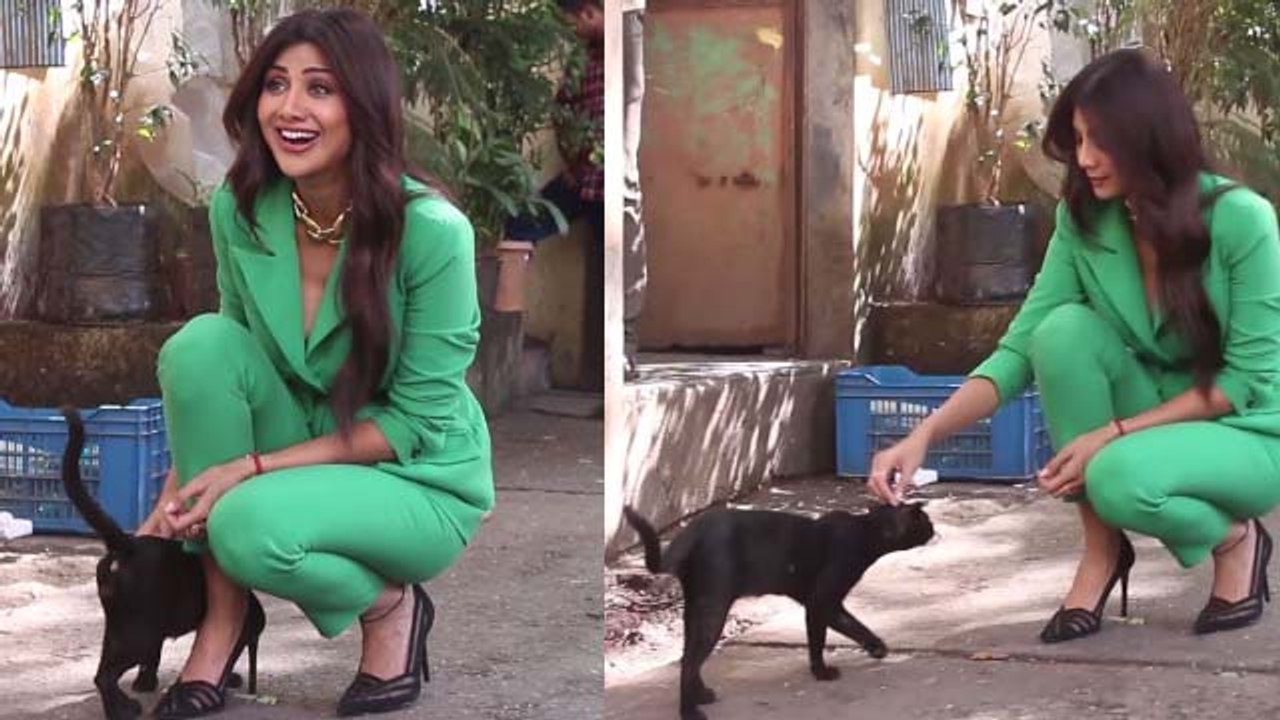 Shilpa Shetty playing with street cat at Filmistan Studio | Boldksy