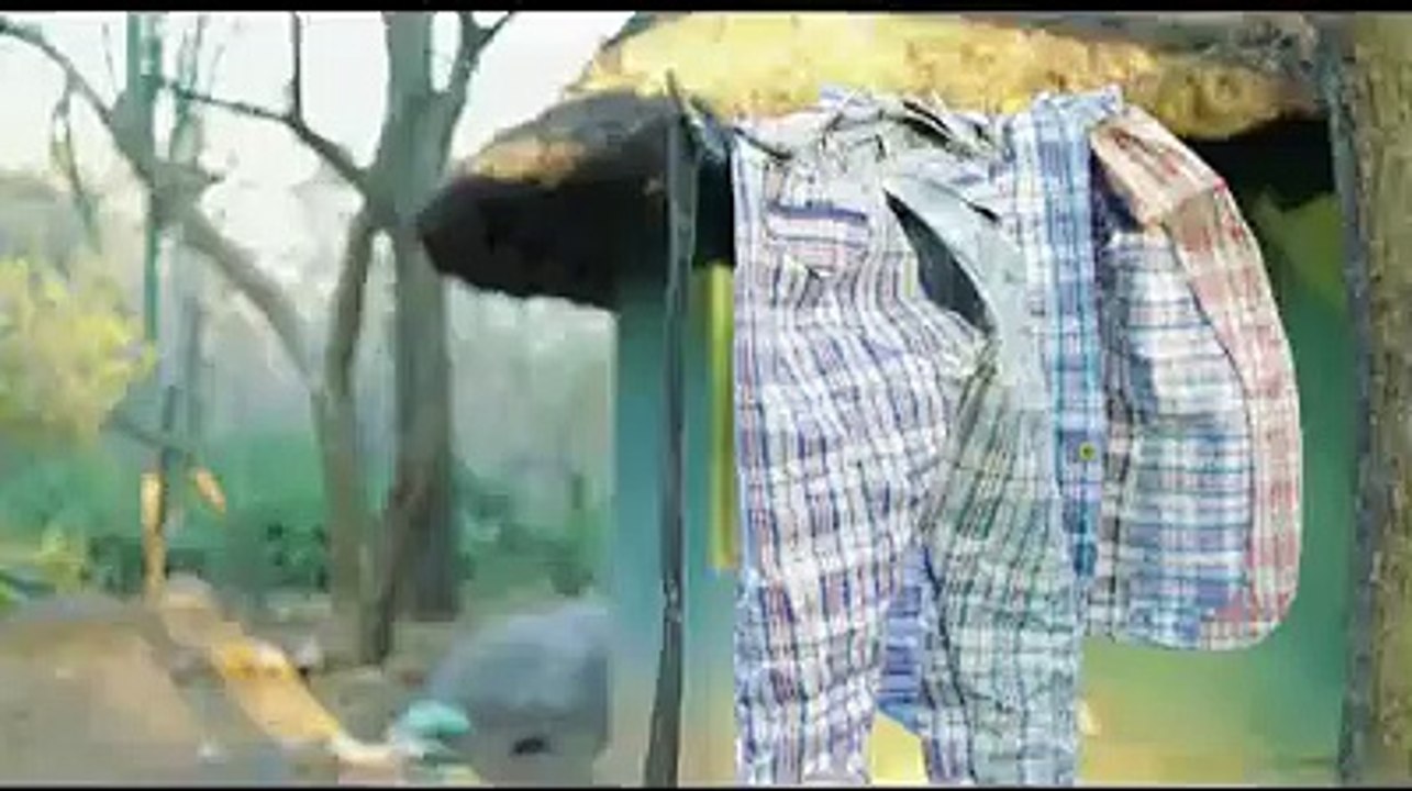 Baba Harare - Generator