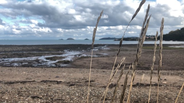 Balade près de l’abbaye de Beauport