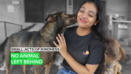 A Small Act of Kindness: The woman saving India's unwanted dogs