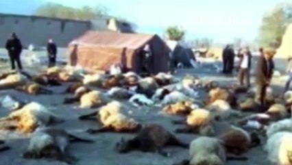 Kondisi Iran Pascagempa