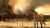 'Uncharted territory' as bushfires rage across Australia's east