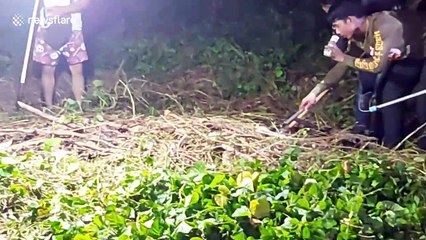 Huge python caught outside woman's home in Thailand