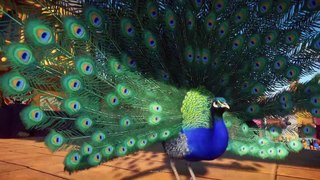 Planet Zoo - Launch Trailer_Full-HD