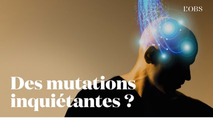 Comment travaillerons-nous en 2049 ? Les prédictions inquiétantes de l'économiste Daniel Cohen