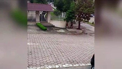 Vídeo: Bandidos invadem cidade da RMC em assalto a Caixa e deixam três baleados