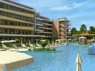 Grand kamelia