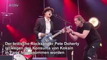 Kokain: Rocksänger Pete Doherty in Paris festgenommen